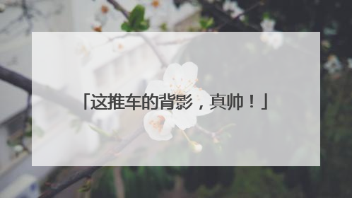这推车的背影，真帅！
