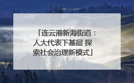 连云港新海街道：人大代表下基层 探索社会治理新模式