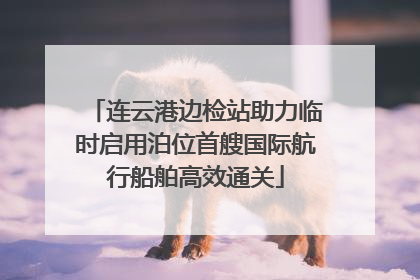 连云港边检站助力临时启用泊位首艘国际航行船舶高效通关