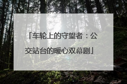 车轮上的守望者：公交站台的暖心双幕剧