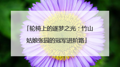 轮椅上的逐梦之光：竹山姑娘张园的冠军进阶路