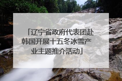 辽宁省政府代表团赴韩国开展十五冬冰雪产业主题推介活动