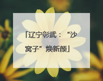 辽宁彰武：“沙窝子”焕新颜