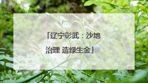 辽宁彰武：沙地治理 造绿生金