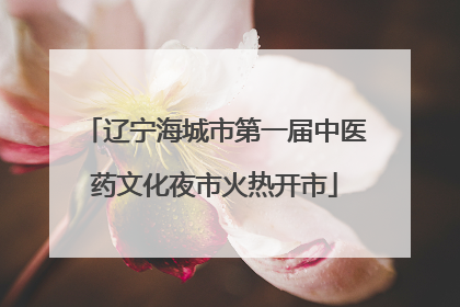 辽宁海城市第一届中医药文化夜市火热开市