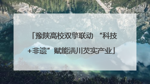 豫陕高校双擎联动 “科技+非遗”赋能潢川芡实产业