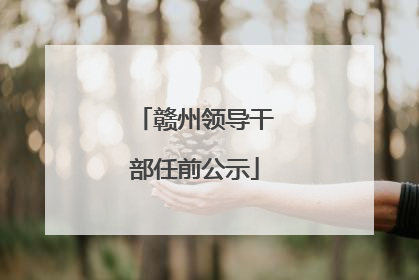 赣州领导干部任前公示