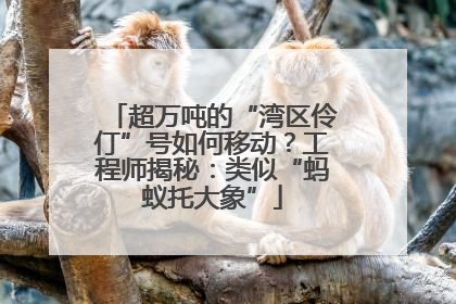 超万吨的“湾区伶仃”号如何移动？工程师揭秘：类似“蚂蚁托大象”