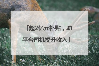 超2亿元补贴，助平台司机提升收入