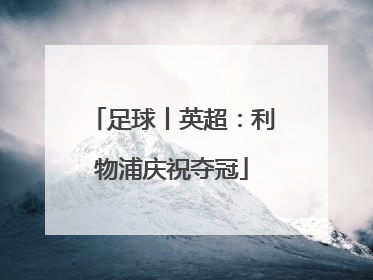 足球丨英超：利物浦庆祝夺冠