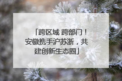 跨区域 跨部门！安徽携手沪苏浙，共建创新生态圈