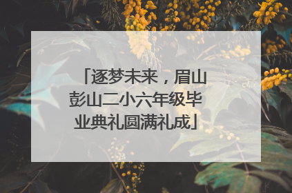 逐梦未来，眉山彭山二小六年级毕业典礼圆满礼成