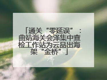 通关“零延误”：曲靖海关会泽集中查检工作站为云品出海架“金桥”