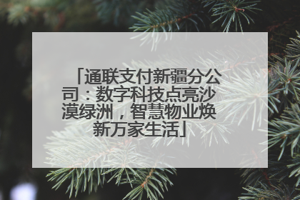 通联支付新疆分公司：数字科技点亮沙漠绿洲，智慧物业焕新万家生活