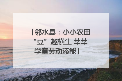 邻水县：小小农田“豆”趣横生 莘莘学童劳动添能