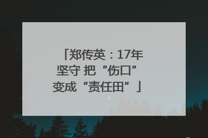郑传英：17年坚守 把“伤口”变成“责任田”