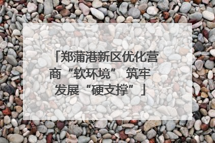 郑蒲港新区优化营商“软环境” 筑牢发展“硬支撑”