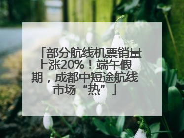 部分航线机票销量上涨20%！端午假期，成都中短途航线市场“热”