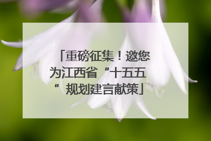 重磅征集！邀您为江西省“十五五”规划建言献策