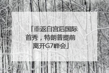 重返白宫后国际首秀，特朗普提前离开G7峰会