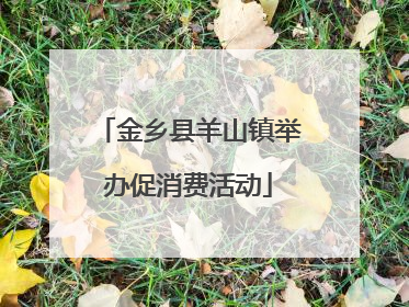 金乡县羊山镇举办促消费活动