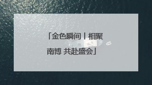 金色瞬间丨相聚南博 共赴盛会