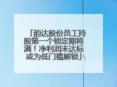 韵达股份员工持股第一个锁定期将满！净利润未达标或为低门槛解锁