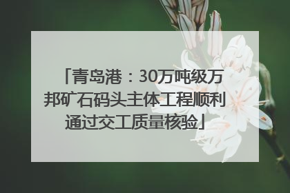 青岛港：30万吨级万邦矿石码头主体工程顺利通过交工质量核验