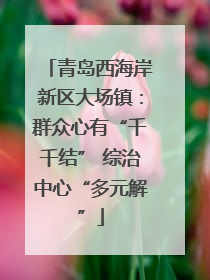 青岛西海岸新区大场镇：群众心有“千千结” 综治中心“多元解”
