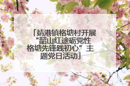 靖港镇格塘村开展“韶山红途砺党性 格塘先锋践初心”主题党日活动