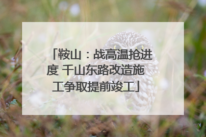 鞍山：战高温抢进度 千山东路改造施工争取提前竣工