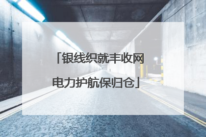 银线织就丰收网 电力护航保归仓