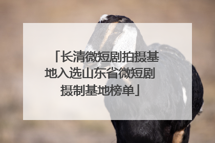 长清微短剧拍摄基地入选山东省微短剧摄制基地榜单