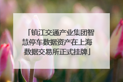 镇江交通产业集团智慧停车数据资产在上海数据交易所正式挂牌