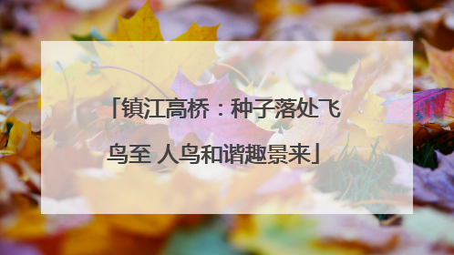 镇江高桥：种子落处飞鸟至 人鸟和谐趣景来