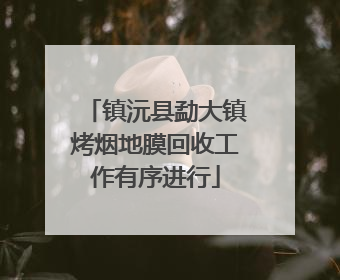 镇沅县勐大镇烤烟地膜回收工作有序进行