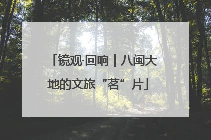 镜观·回响｜八闽大地的文旅“茗”片