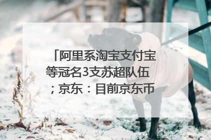 阿里系淘宝支付宝等冠名3支苏超队伍；京东：目前京东币链科技并没有开始发行稳定币｜早资道