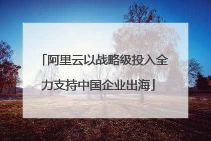 阿里云以战略级投入全力支持中国企业出海