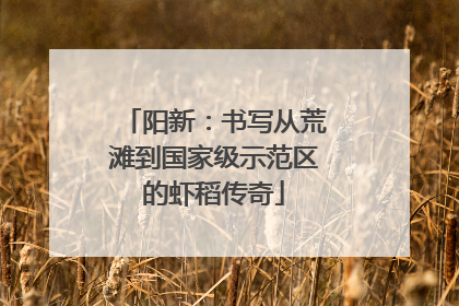 阳新：书写从荒滩到国家级示范区的虾稻传奇