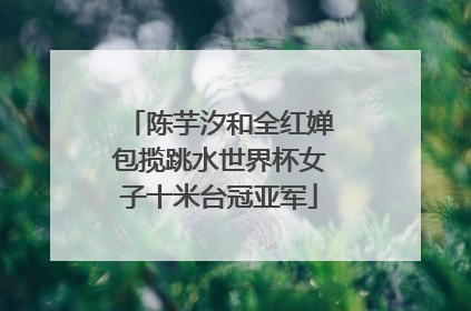 陈芋汐和全红婵包揽跳水世界杯女子十米台冠亚军