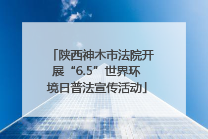 陕西神木市法院开展“6.5”世界环境日普法宣传活动