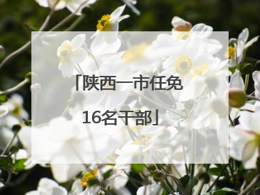 陕西一市任免16名干部