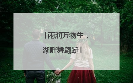 雨润万物生，湖畔舞翩跹