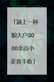 颍上一种粮大户3000余亩小麦喜丰收