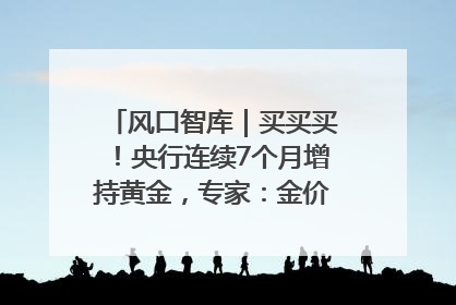 风口智库｜买买买！央行连续7个月增持黄金，专家：金价或仍易涨难跌