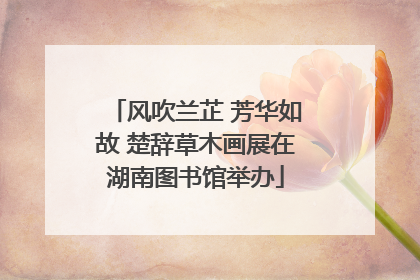 风吹兰芷 芳华如故 楚辞草木画展在湖南图书馆举办