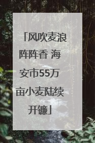 风吹麦浪阵阵香 海安市55万亩小麦陆续开镰