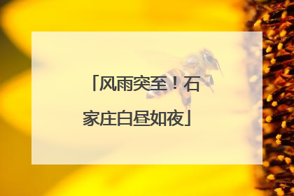 风雨突至！石家庄白昼如夜