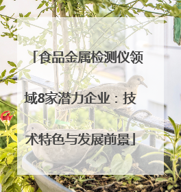 食品金属检测仪领域8家潜力企业：技术特色与发展前景